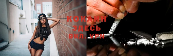 спайс Баксан