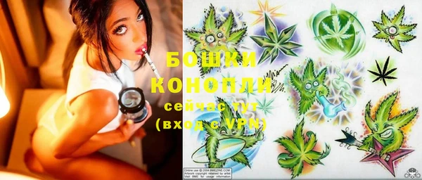 PSILOCYBIN Балахна