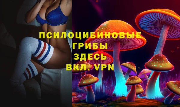 PSILOCYBIN Балахна