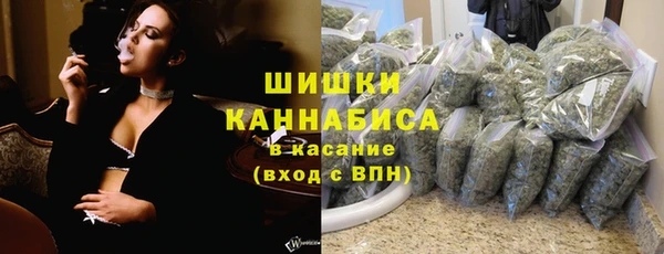 PSILOCYBIN Балахна